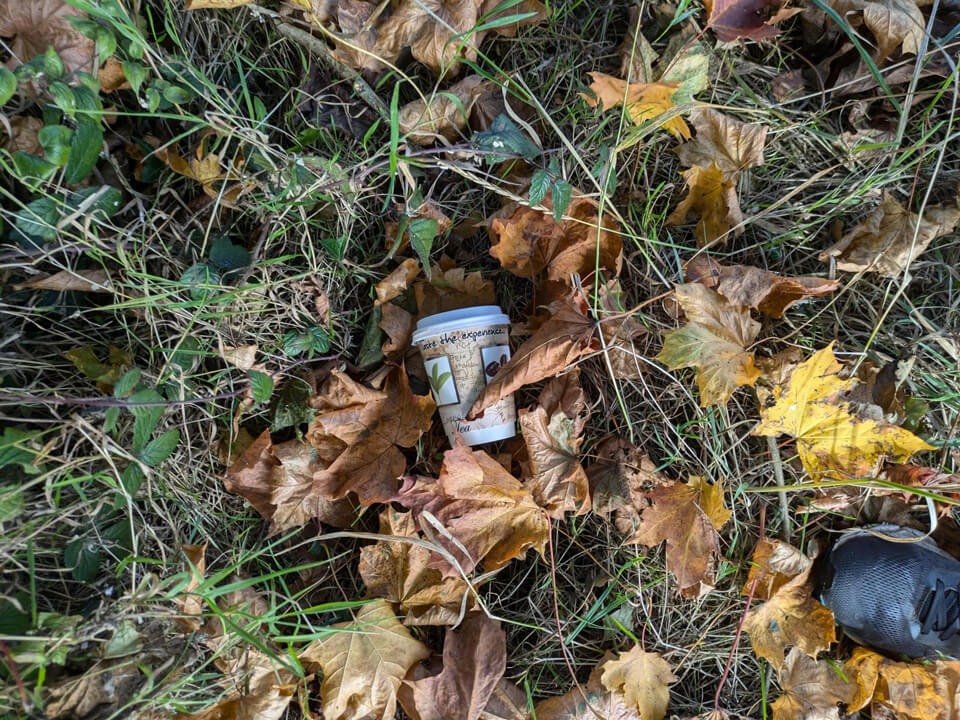 Coffee Cup Litter spoiling nature in Trim Coffee Cup Litter spoiling nature in Trim