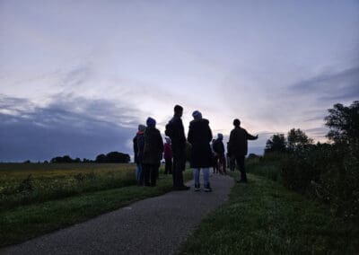 Dawn chorus at the Porchefields Trim may