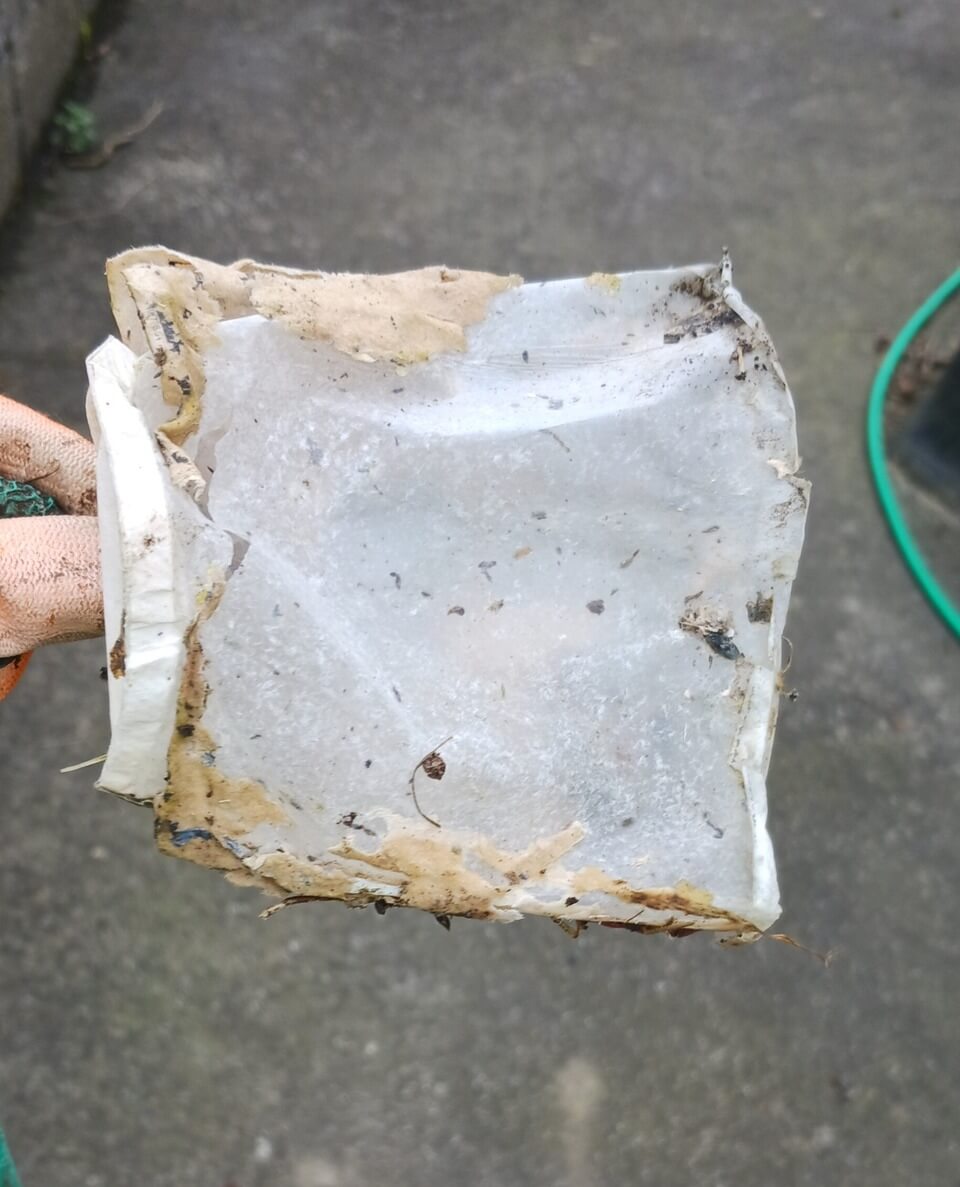 inside of a coffee cup () inside of a coffee cup